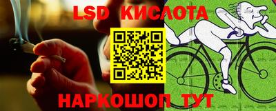 гашик Тара