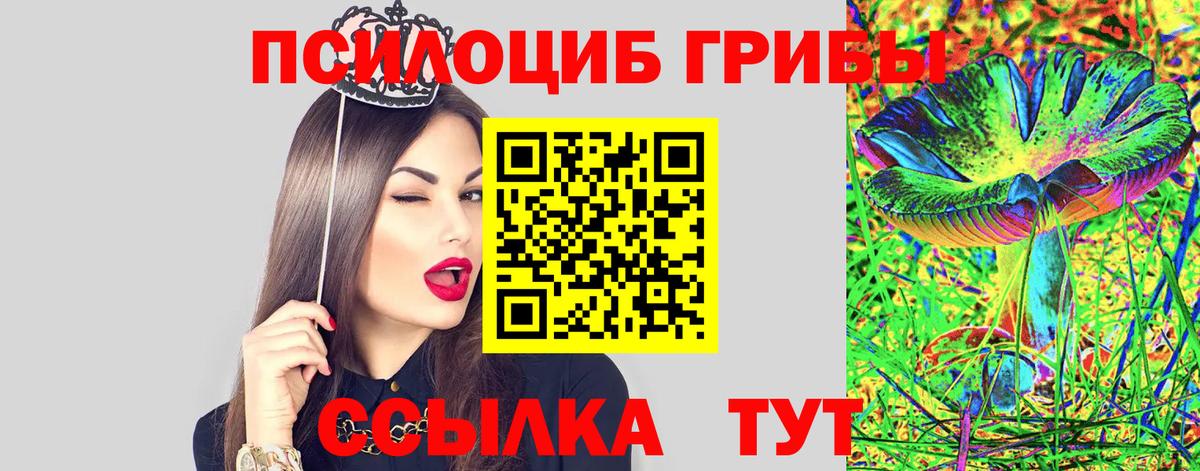 Галлюциногенные грибы прущие грибы Междуреченск