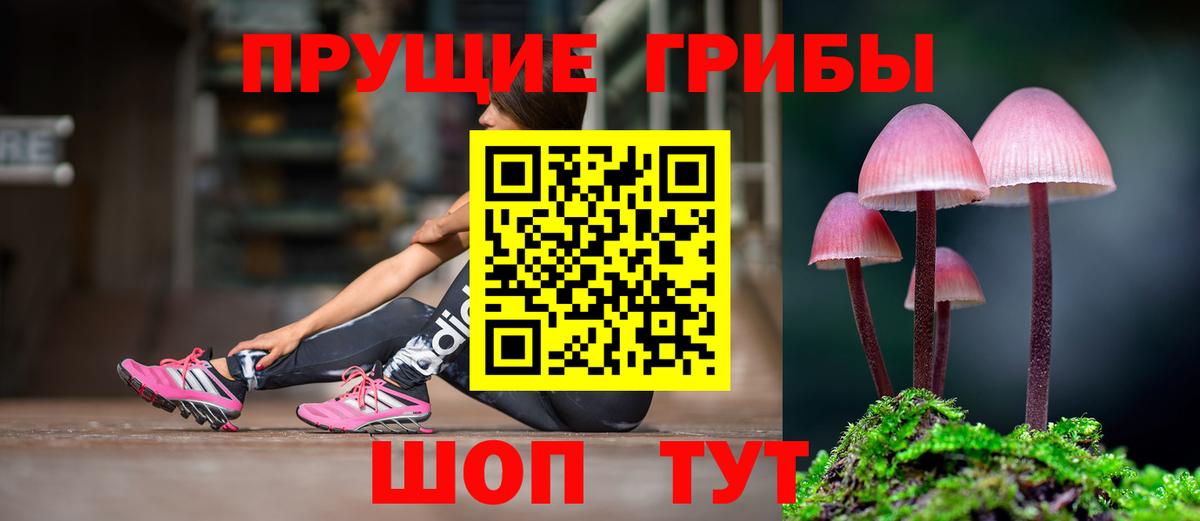Междуреченск  Псилоцибиновые грибы Cubensis  хочу   Вход с VPN  Галлюциногенные грибы мухоморы 